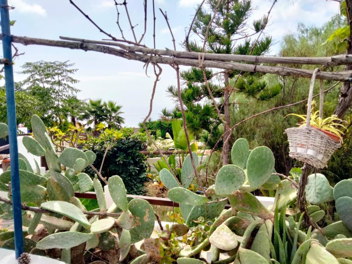 Casa De Campo Lomo Del Balo Guía de Isora Kültér fotó